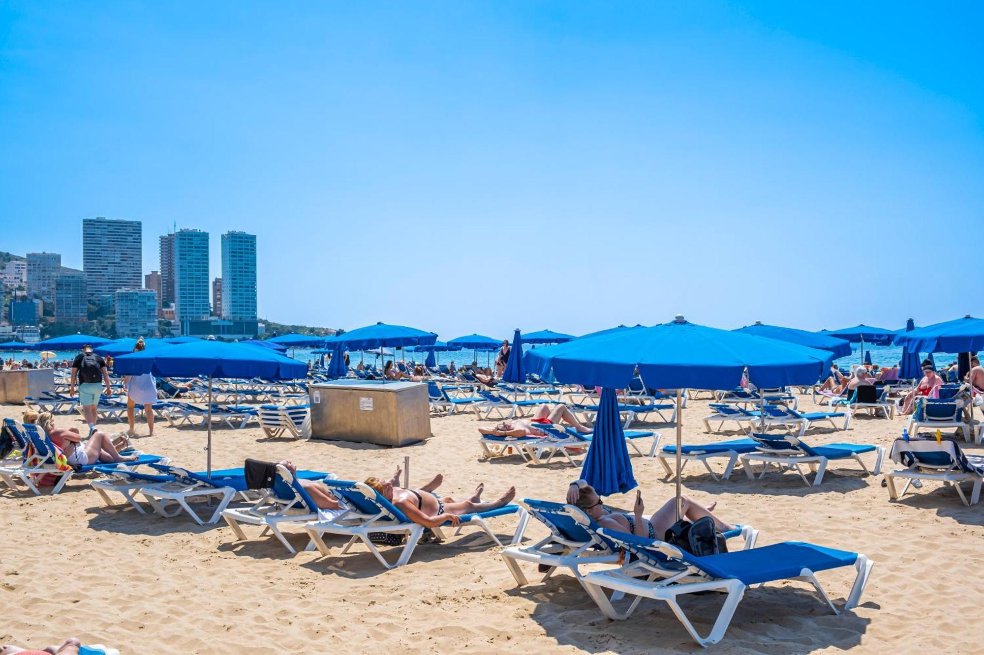 Niza 11-A Apartment Levante Beach Benidorm Eksteriør billede